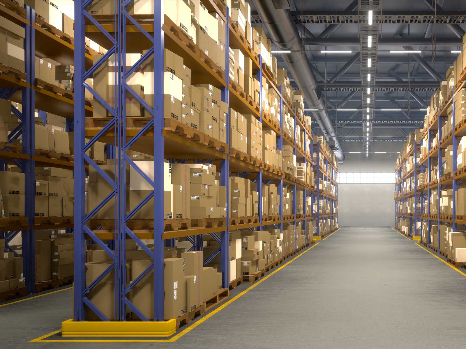 Organizational Efficiency