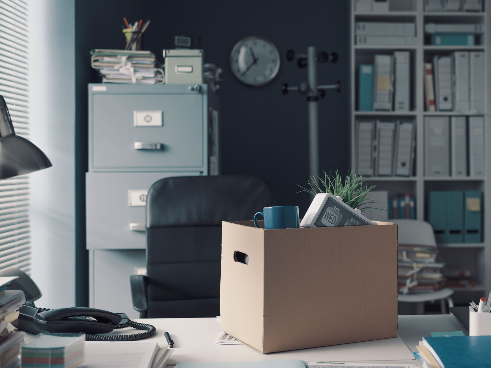 Storage Solutions for Small Spaces